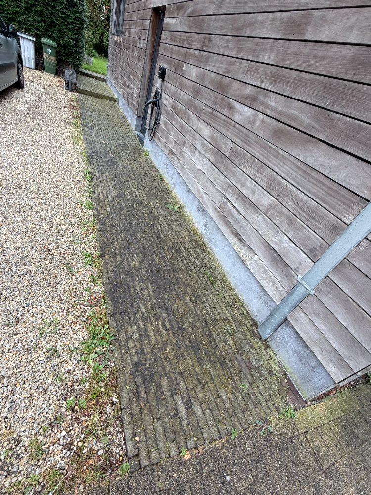 Pad met mos, voor reiniging